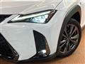 2021 Lexus Other