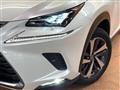 2018 Lexus NX