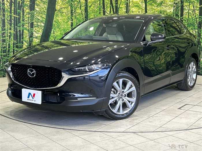 2022 Mazda Mazda Others