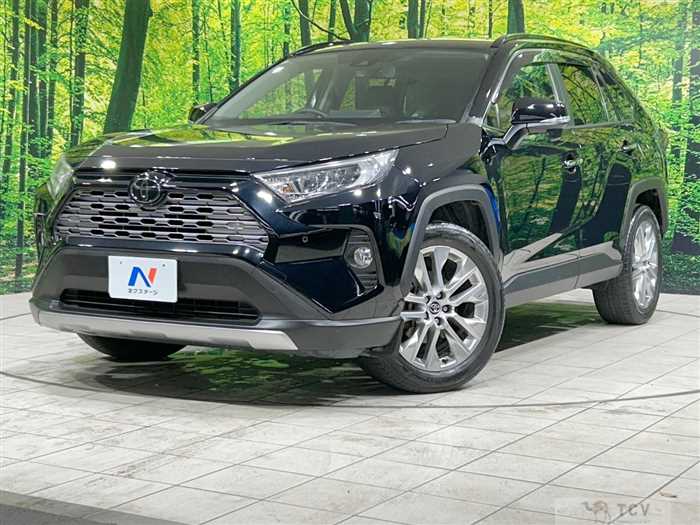 2019 Toyota RAV4