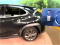 2019 Lexus Other