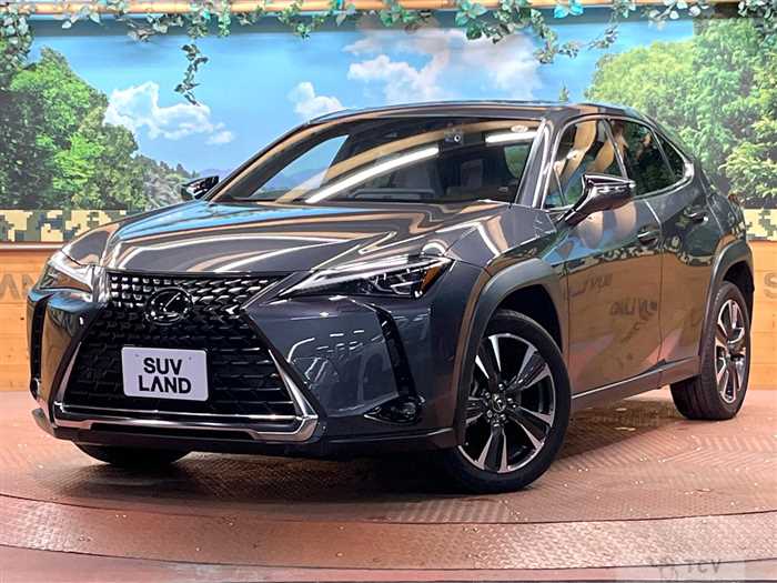 2023 Lexus Other