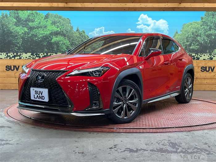 2019 Lexus Other