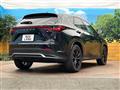 2025 Lexus NX