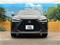 2025 Lexus NX