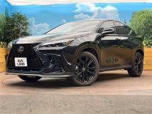 2025 Lexus NX