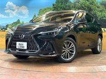 2023 Lexus NX