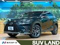 2018 Lexus NX