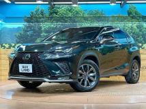 2018 Lexus NX