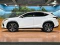 2018 Lexus NX