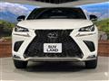 2020 Lexus NX