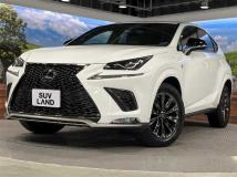 2020 Lexus NX