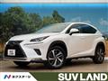 2019 Lexus NX