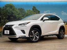 2019 Lexus NX