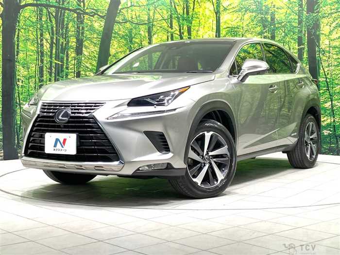 2018 Lexus NX