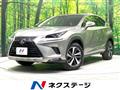 2018 Lexus NX