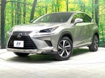2018 Lexus NX