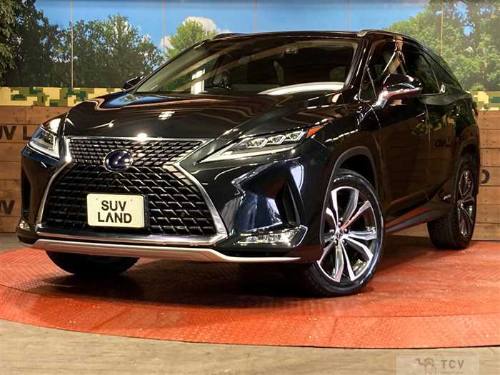 2019 Lexus RX