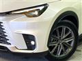 2024 Lexus Other