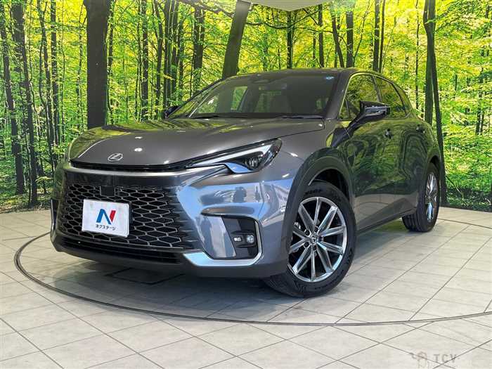 2025 Lexus Other