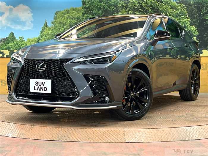 2023 Lexus NX