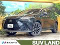 2022 Lexus NX