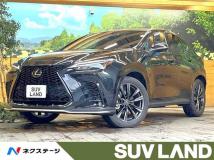 2022 Lexus NX