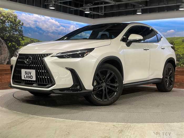 2023 Lexus NX