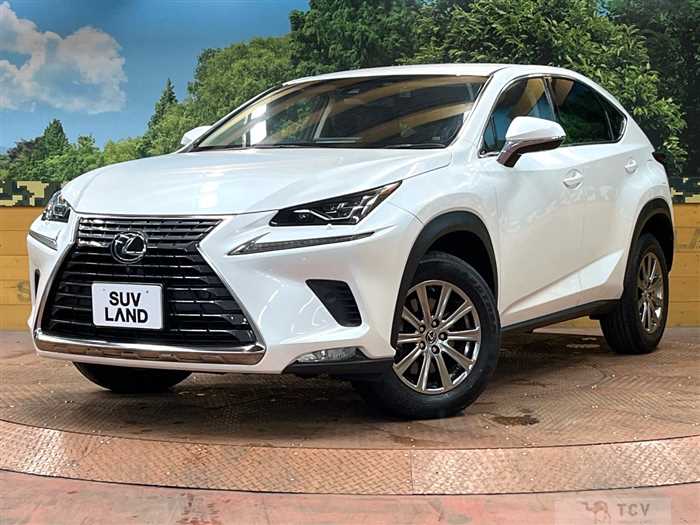 2017 Lexus NX