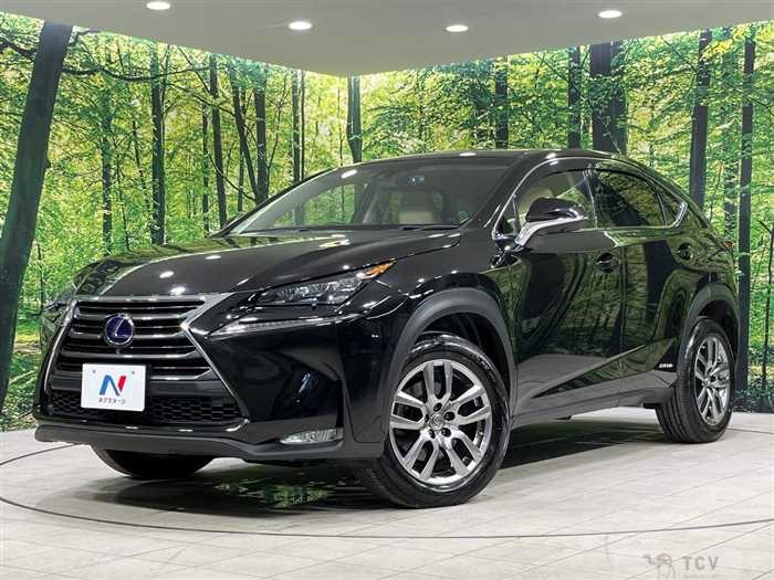 2015 Lexus NX