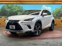 2018 Lexus NX