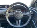 2020 Mazda Mazda Others