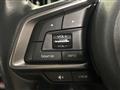 2019 Subaru Subaru Others