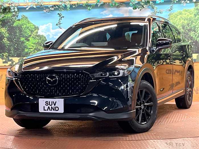 2024 Mazda CX-8