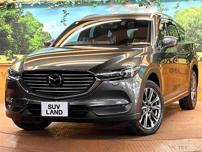 2019 Mazda CX-8