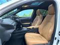 2023 Lexus Other
