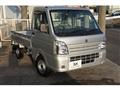 2020 Suzuki Carry Truck