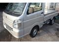 2020 Suzuki Carry Truck