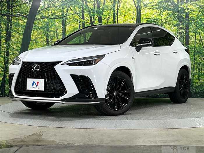 2024 Lexus NX