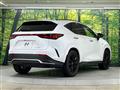 2024 Lexus NX