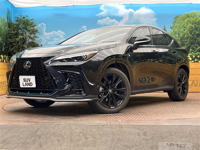 2025 Lexus NX