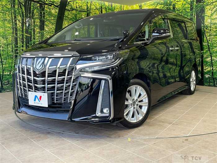 2019 Toyota Alphard