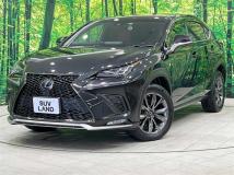 2018 Lexus NX