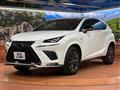 2021 Lexus NX