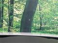 2023 Mazda Mazda3
