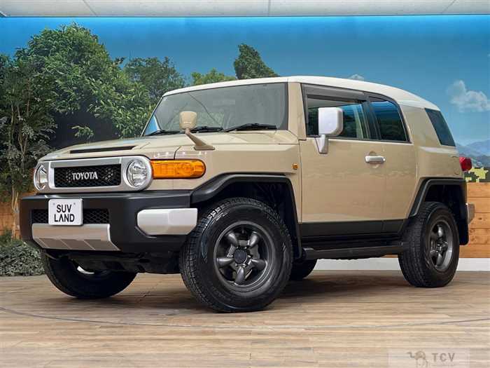 2013 Toyota FJ Cruiser