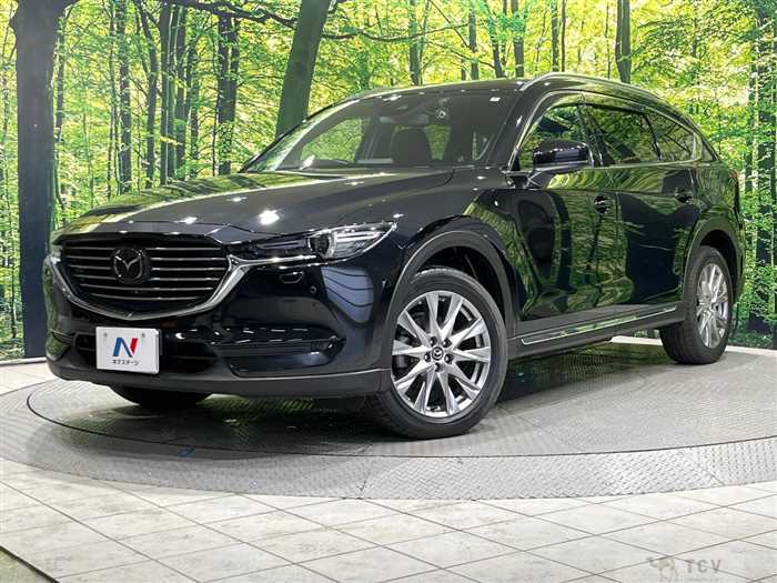 2018 Mazda CX-8