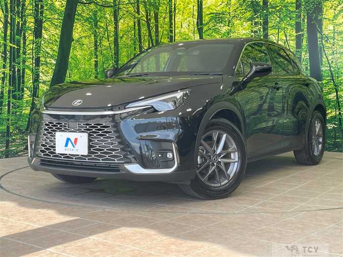 2024 Lexus Other