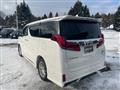 2019 Toyota Alphard G