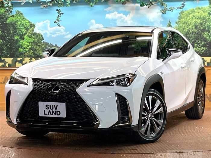 2018 Lexus Other